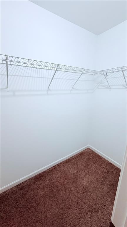 Building Photo - 2366 Proctor Creek Enclave