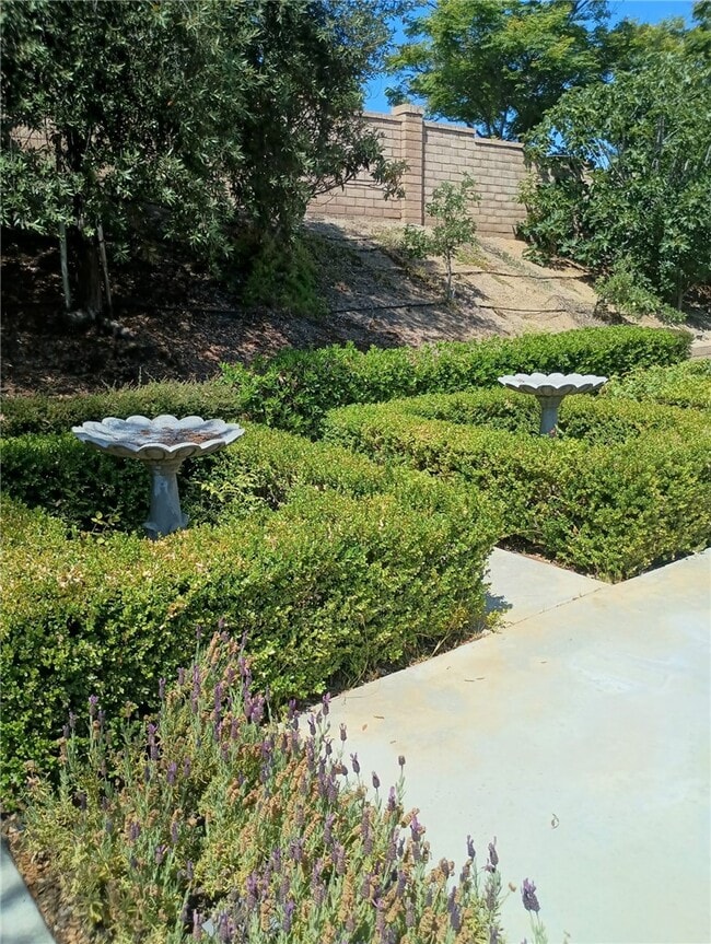Building Photo - 33001 Sage Ct