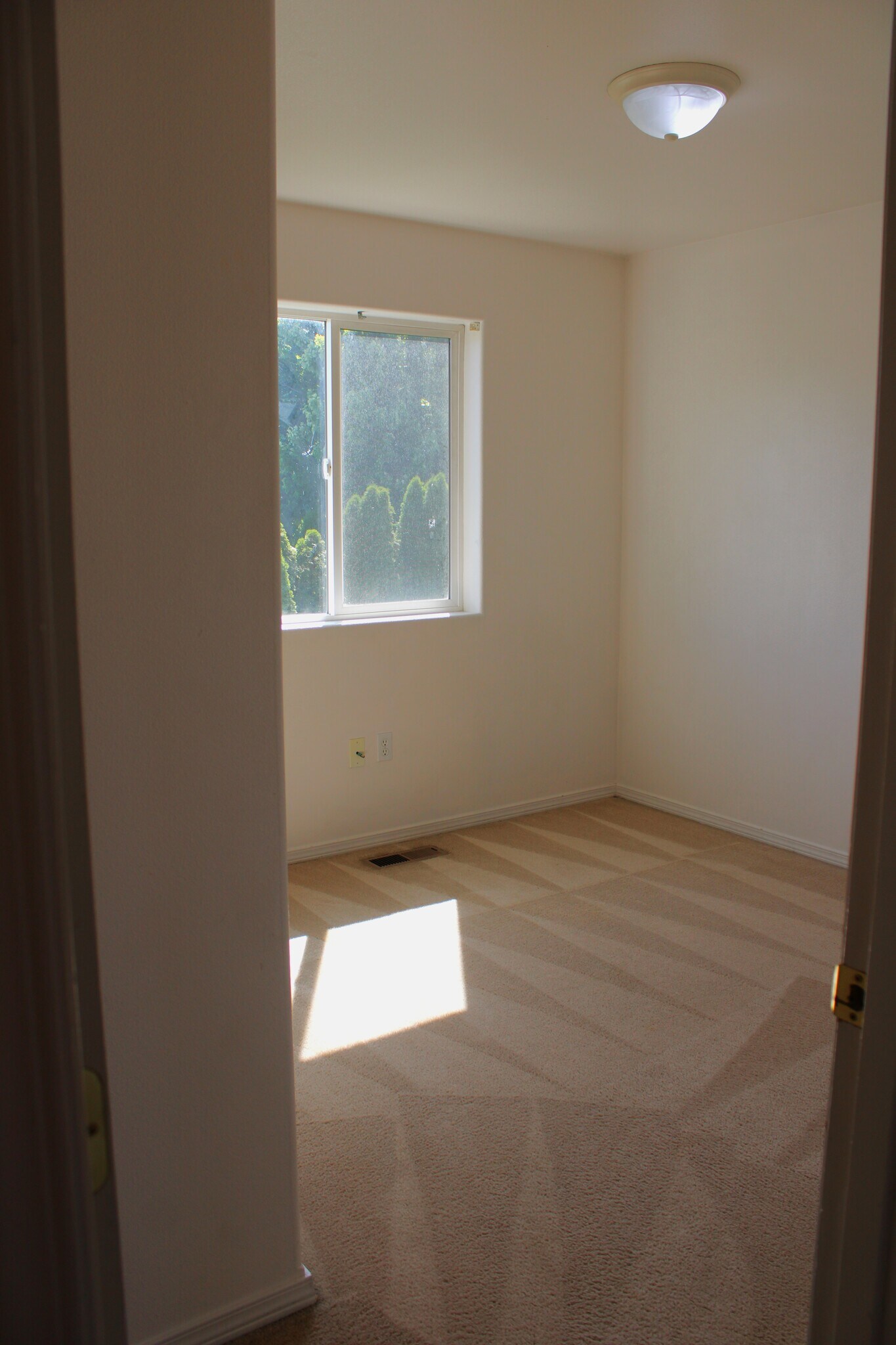 Building Photo - 1503 Trisha Way