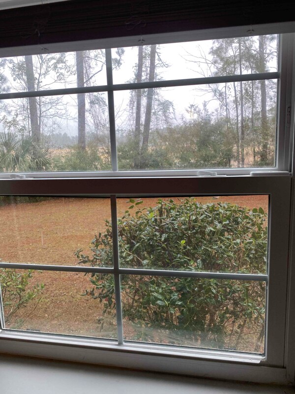 Building Photo - 6850 Blue Heron Blvd