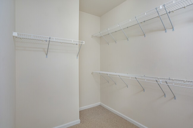 Building Photo - 25890 Racing Sun Dr