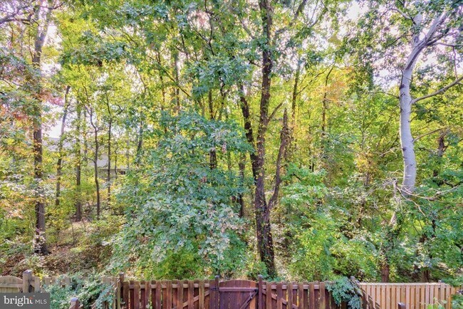 Building Photo - 7014 Chestnut Brook Ct