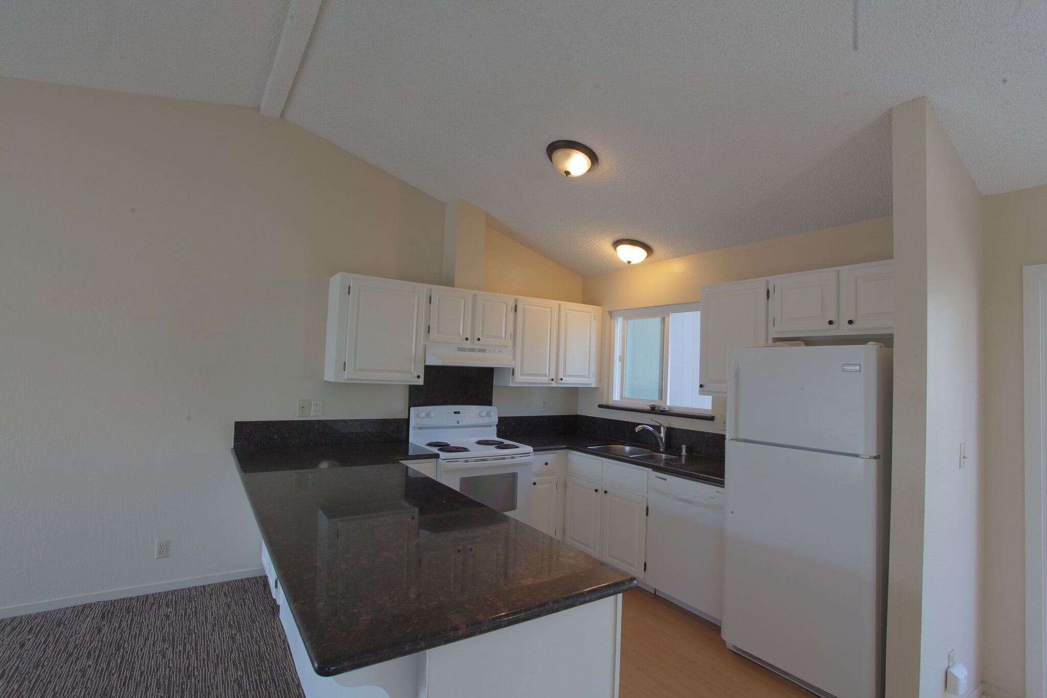 Kitchen - 1968 Dolphin Dr