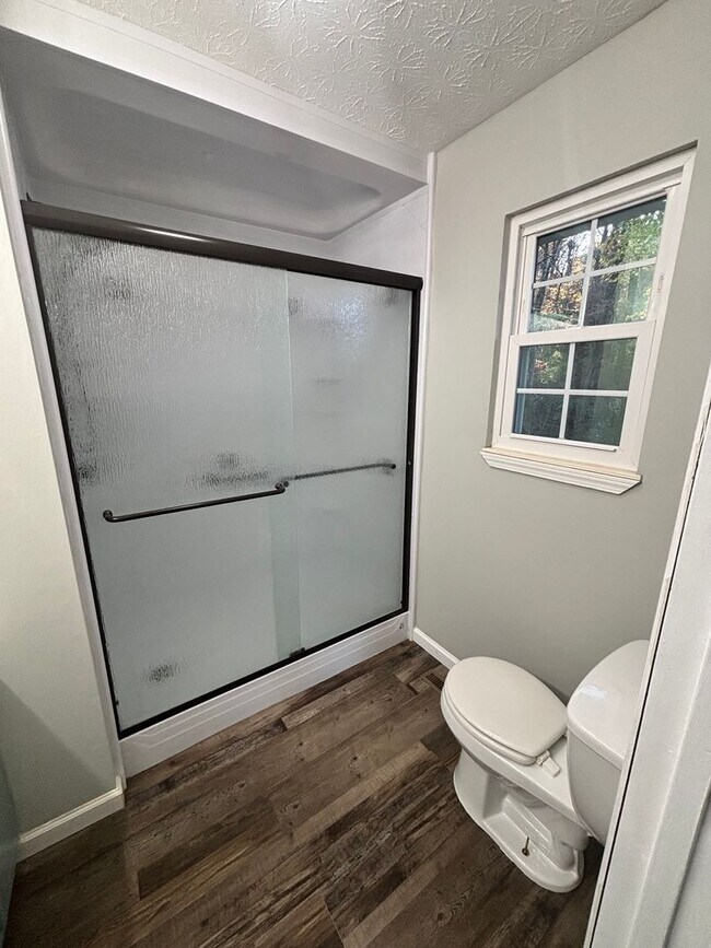 Building Photo - Newly Updated 4bd/3bth in Seymour!