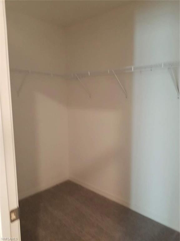 Building Photo - 5010 White Chicory Dr