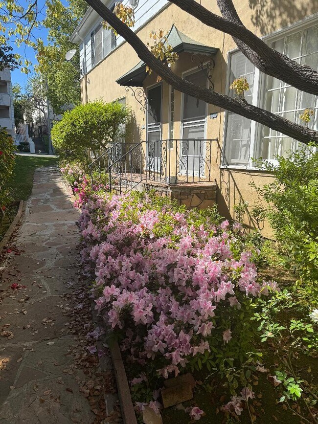 Blooming flowers - 1532 S Beverly Dr