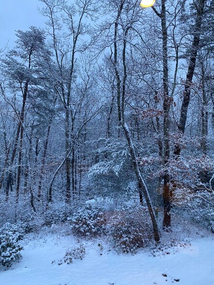 Building Photo - 173 Payne Hill Dr