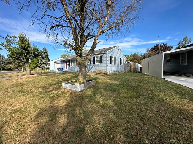 Front Yard - 2296 Fenton St