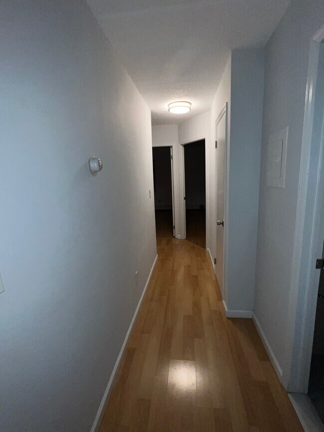 hallway - 24 Palmetto St