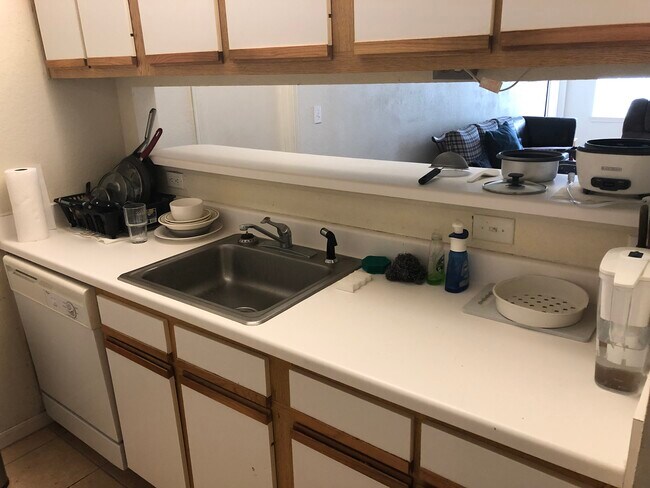 Sink, cabinets, drawers, dishwasher - 521 Southwest Pky