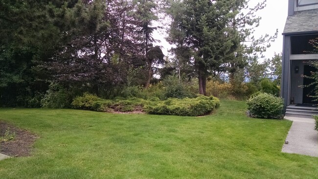 Building Photo - Large Furnished Townhome in Loch Haven Hills