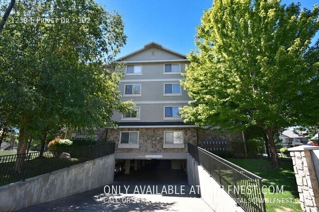 Building Photo - 1230 Privet Dr