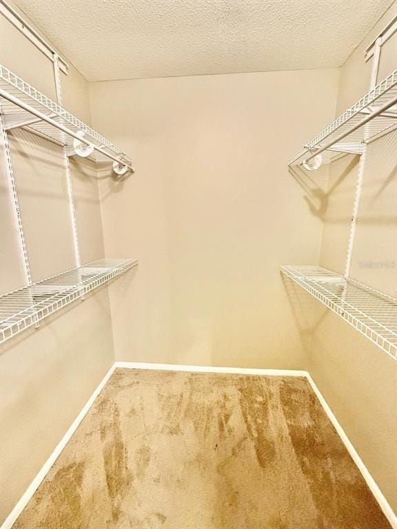 Building Photo - 7612 Camarina Calle