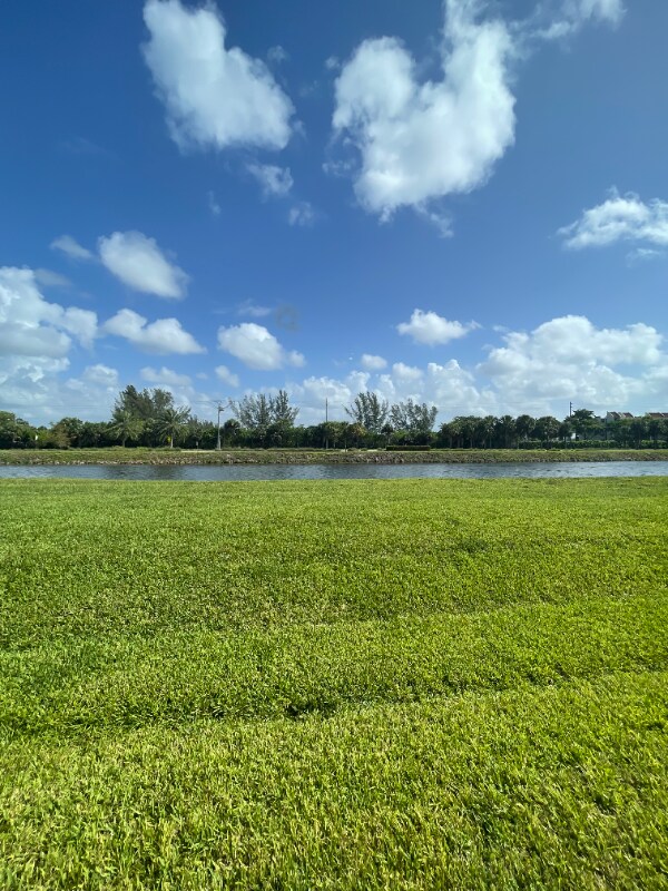 Building Photo - 2871 N Oakland Forest Dr