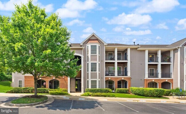 Primary Photo - 20453 Chesapeake Square