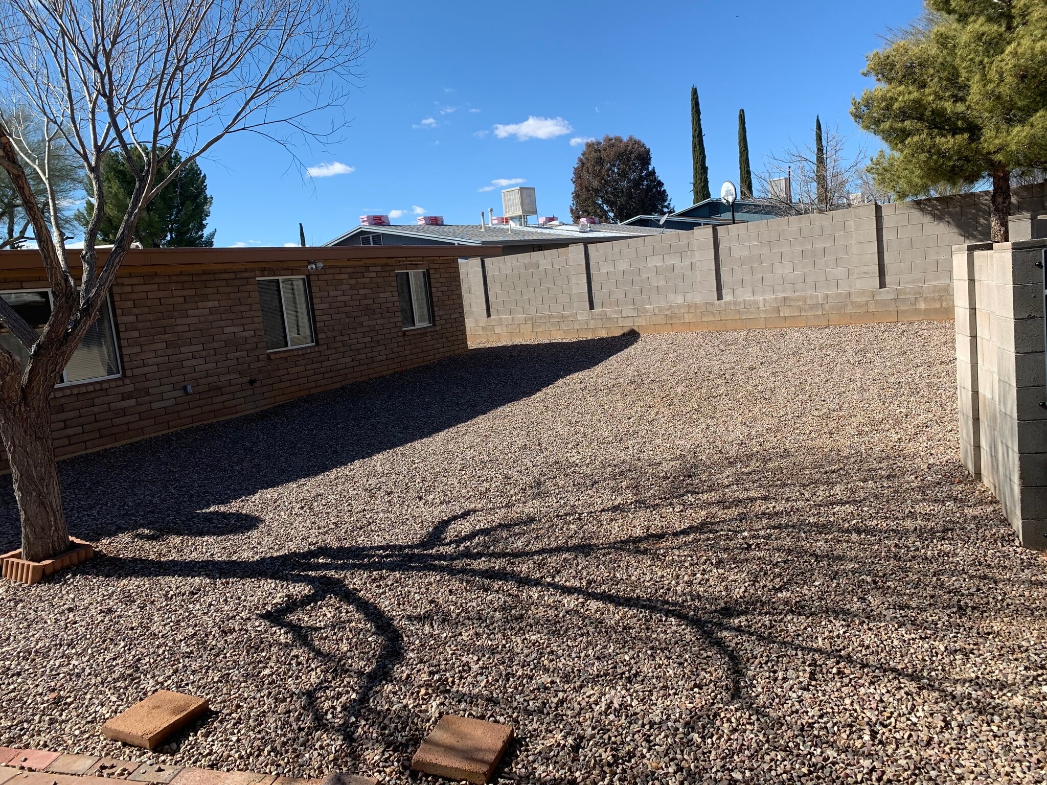 Back Yard - 607 N De Medici Pl
