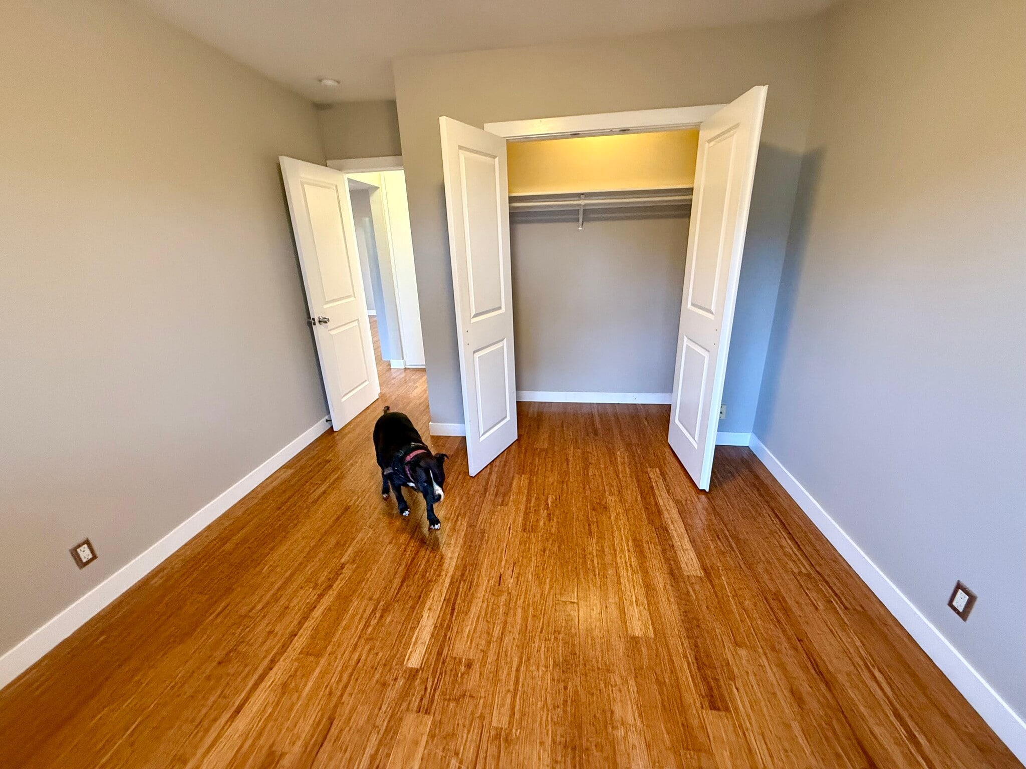 Building Photo - 610 Indiana Ave