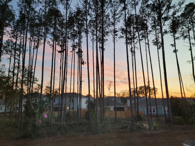 Building Photo - 1209 Salty Hammock Ct