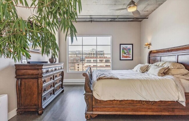 Building Photo - Downtown Loft Living at its Best