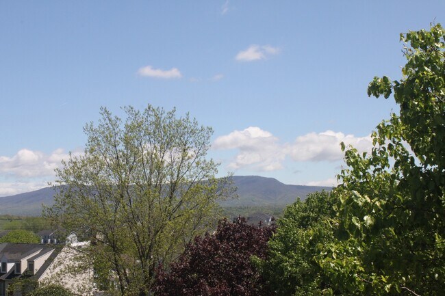 Building Photo - 1112-1 Blue Ridge Drive