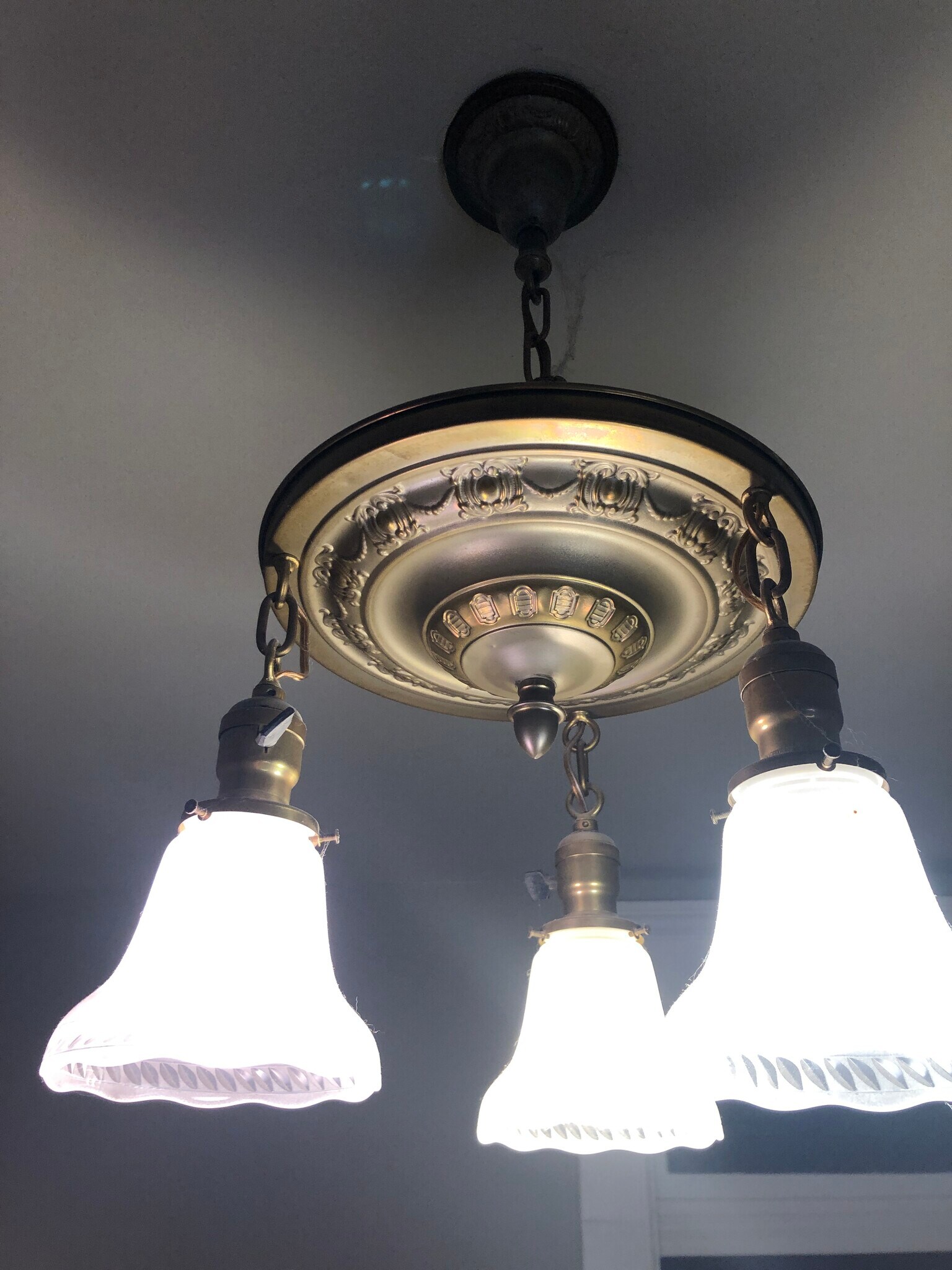 Building Photo - 1145 Jaeger St