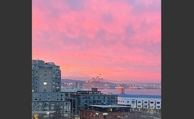 Building Photo - 3028 Western Ave