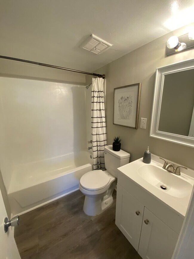 Building Photo - Newly Renovated All Electric 1 Bedroom in ...