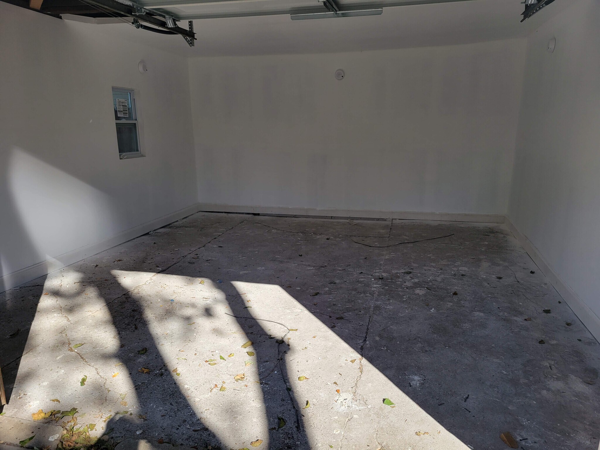 Building Photo - 187 Botsford St