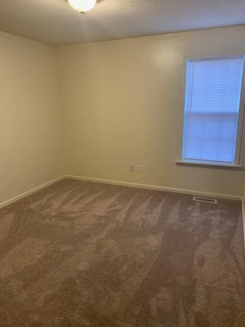 Building Photo - 4205 Williamsbrook Ln