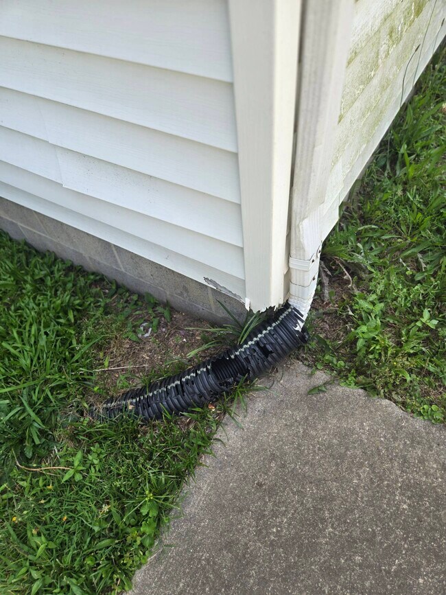 Building Photo - 115 Blackwelder Ave