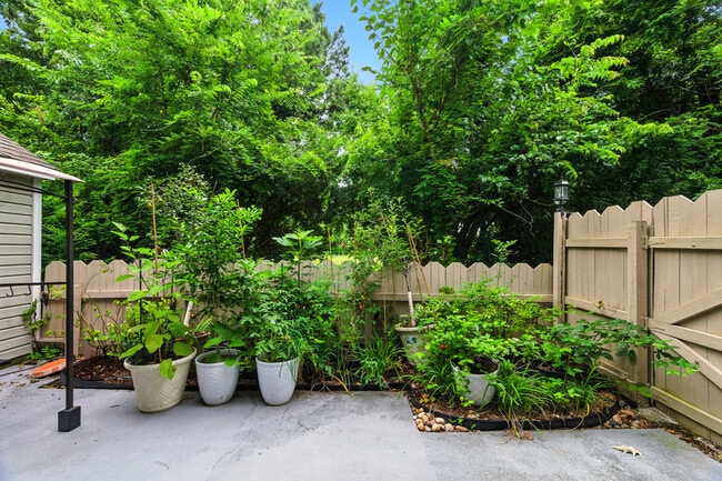 Building Photo - 4409 Segovia Ct