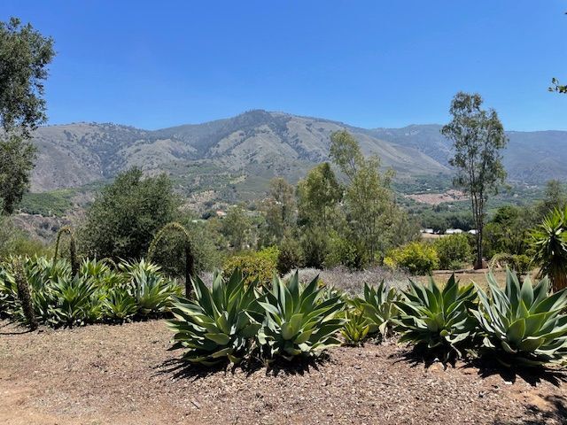 Building Photo - 17711 S Mesa Dr