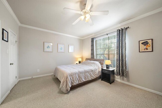 Building Photo - 2255 Braeswood Park Dr