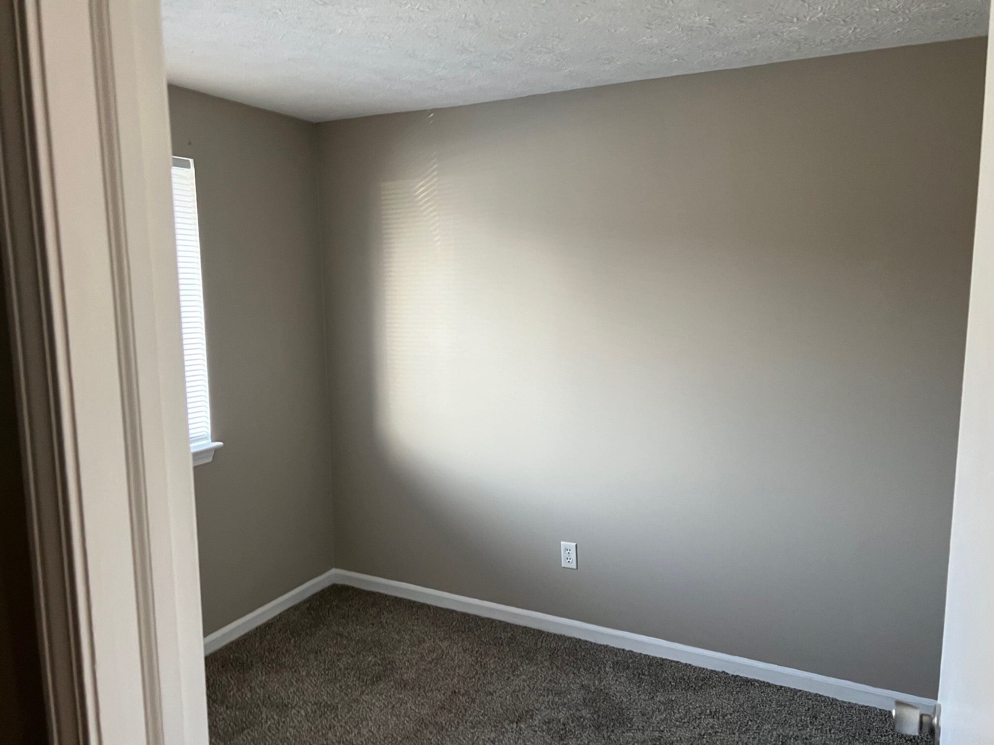 Bedroom #3/ Office - 339 Willowbrooke Dr