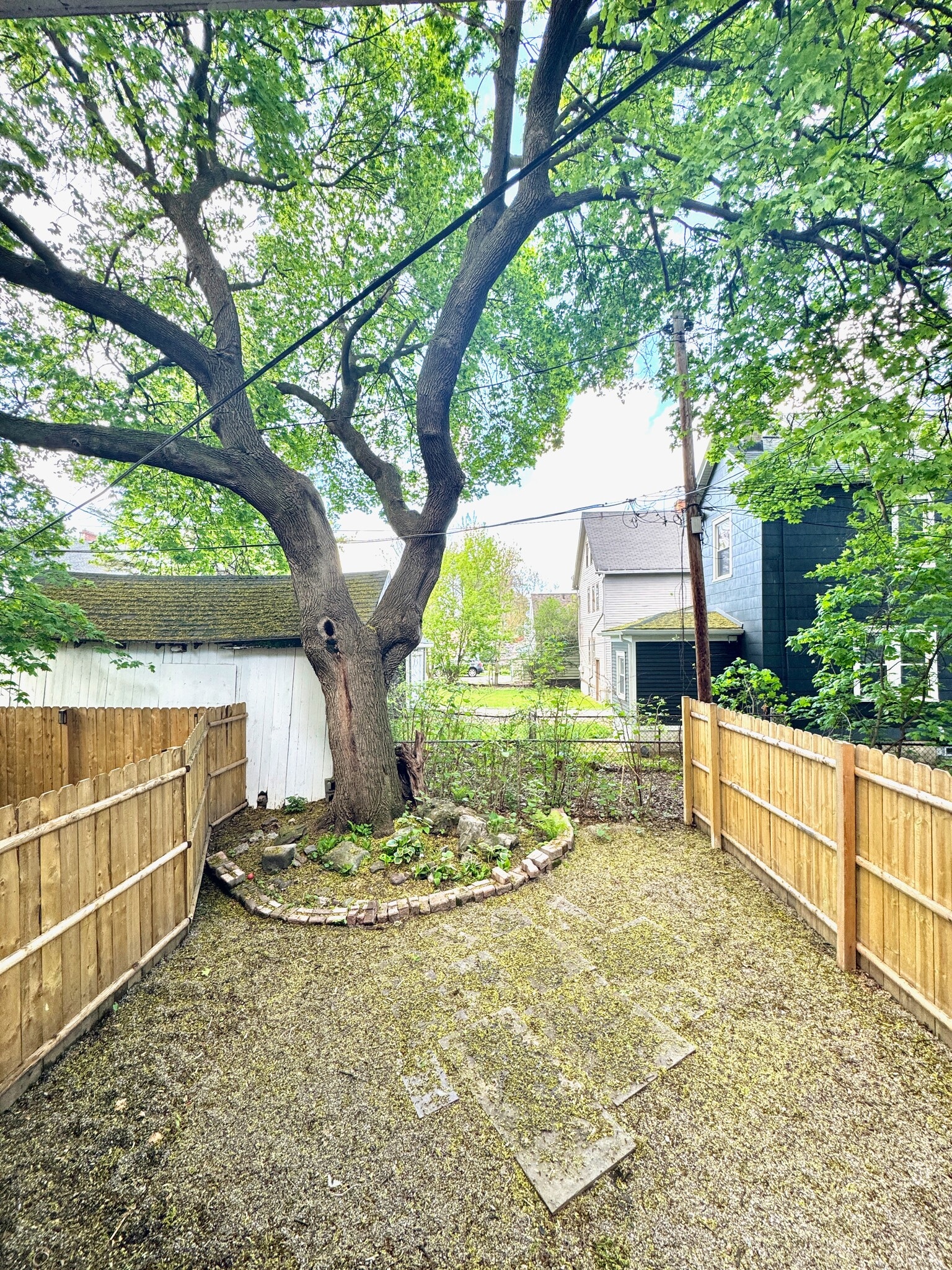 Private Backyard - 246-248 Richard St