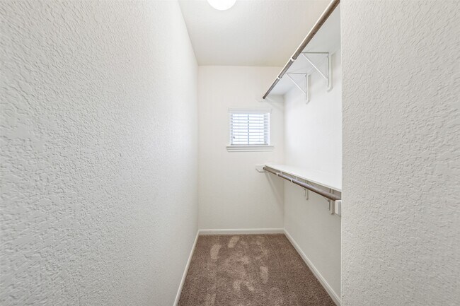 Building Photo - 3009 Wedgewood Bay Ct