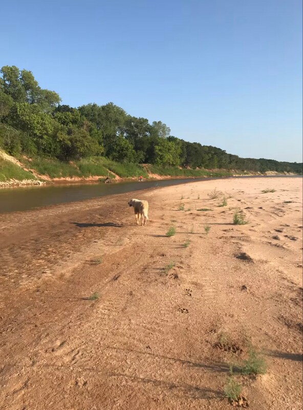 Building Photo - 4455 County Rd 127