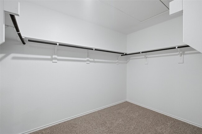 Building Photo - 312 Blanco Dr