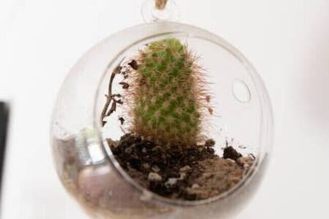 Building Photo - 2756 Locksley Pl