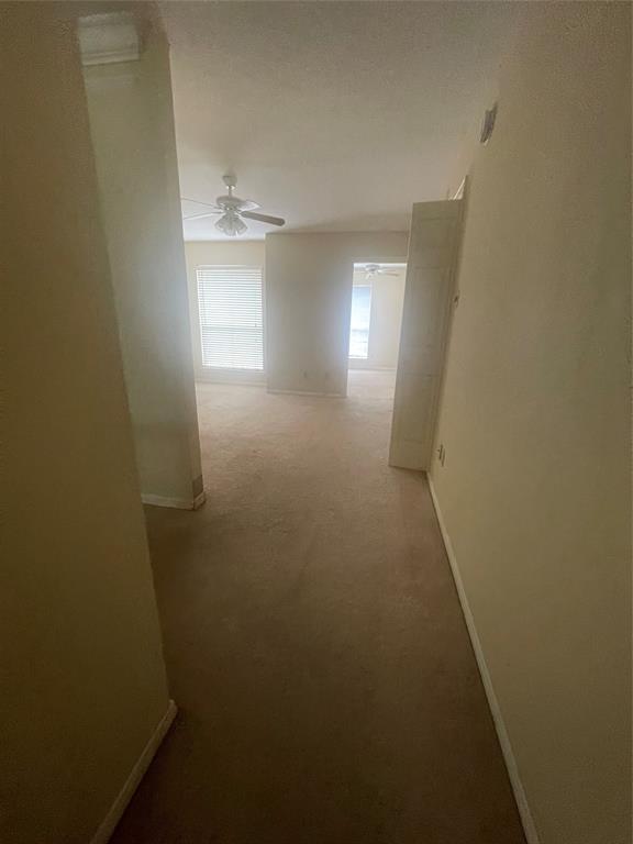 Building Photo - 5515 Strack Rd