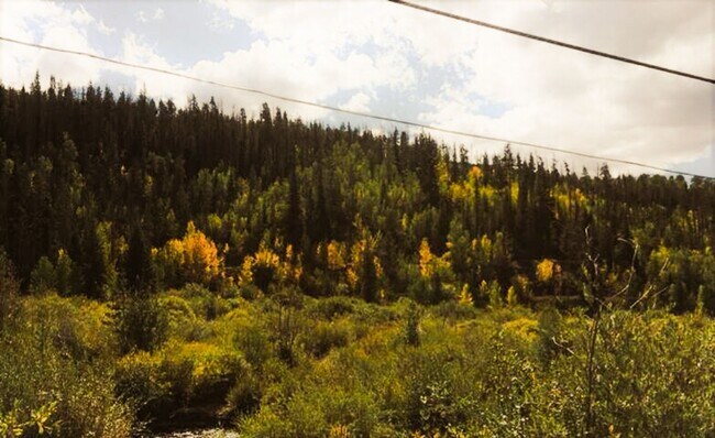 Building Photo - Bus Route! Pet Negotiable! Large Fenced Ya...
