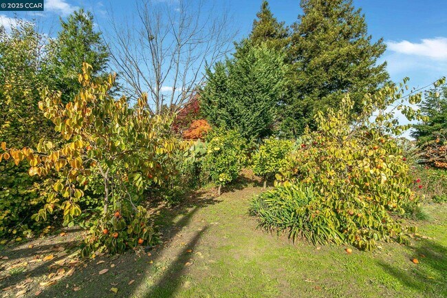 Building Photo - 732 Antiquity Dr