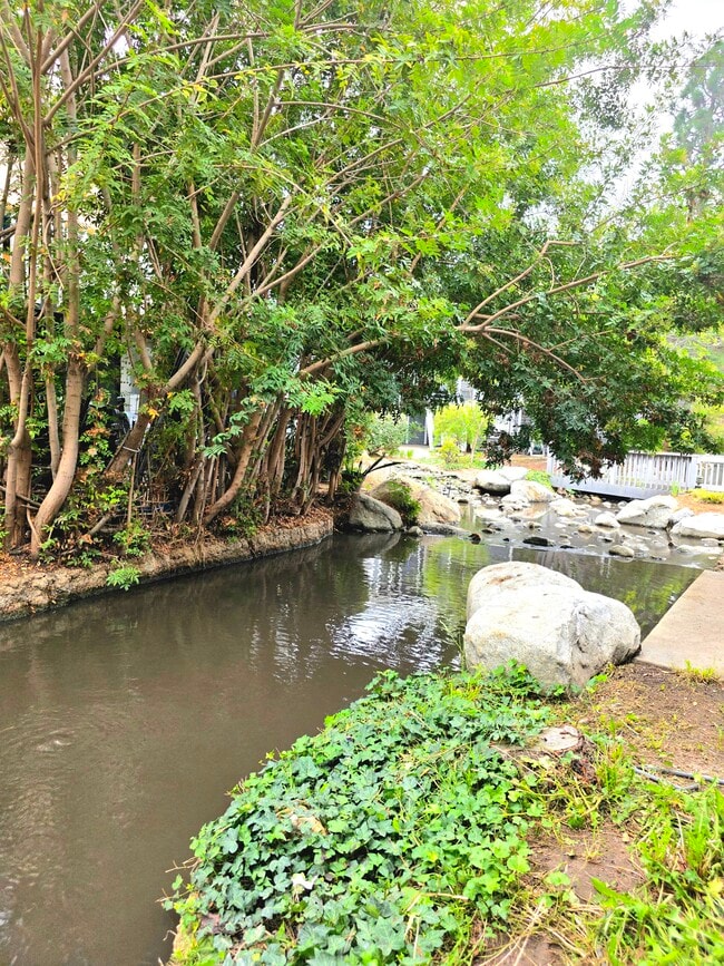 Building Photo - 25369 Pine Creek Ln