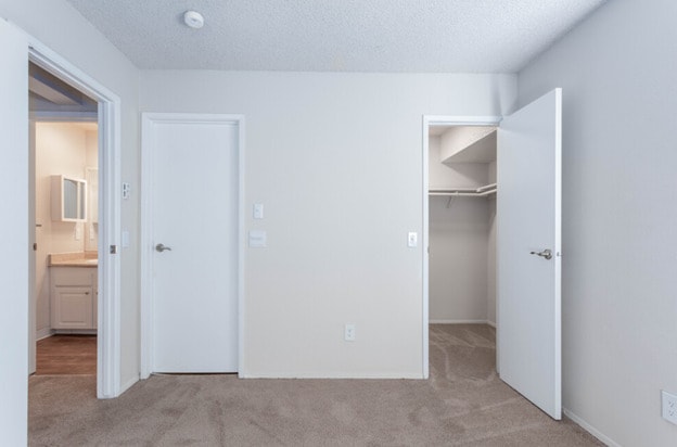 Primary Suite Closet View - Trailwood Apartment Homes