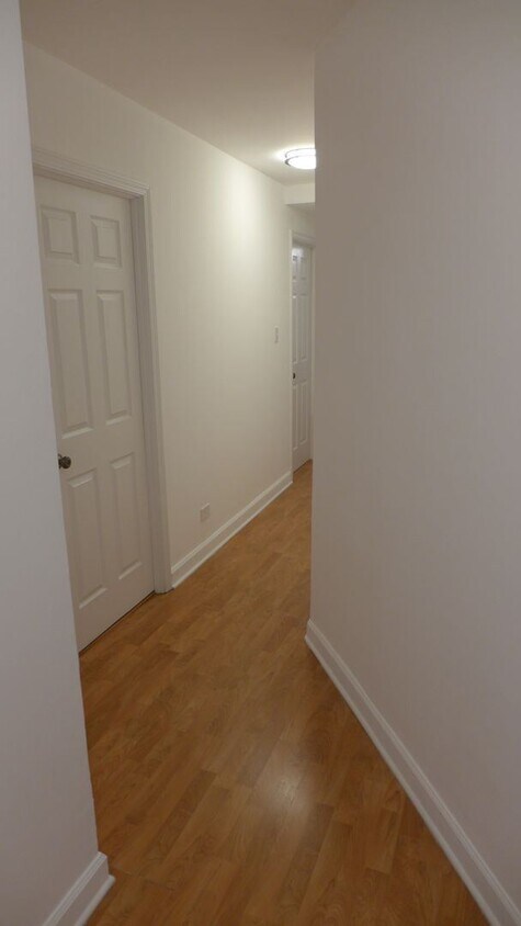 808 W Junior Terrace Chicago Il Apartment Finder