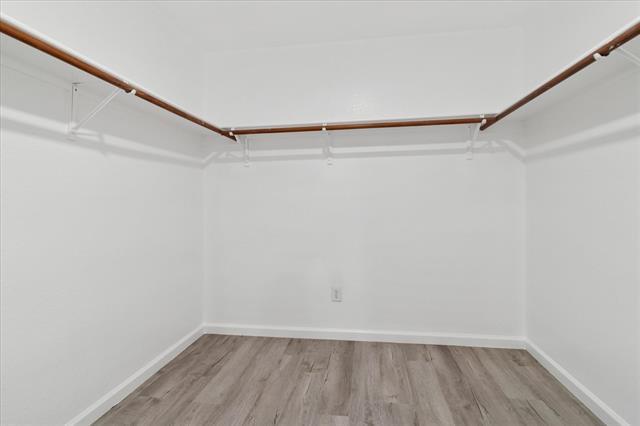 Building Photo - 2540 Brinlee Branch Ln