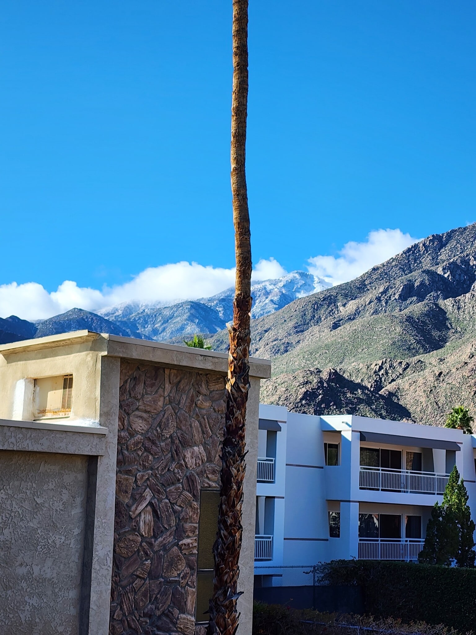 View from master bedroom - 2727 S Sierra Madre