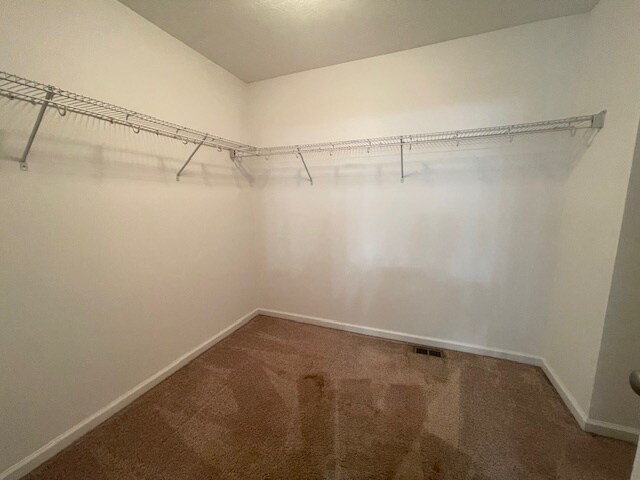 Building Photo - 501 Brantley Cove Cir