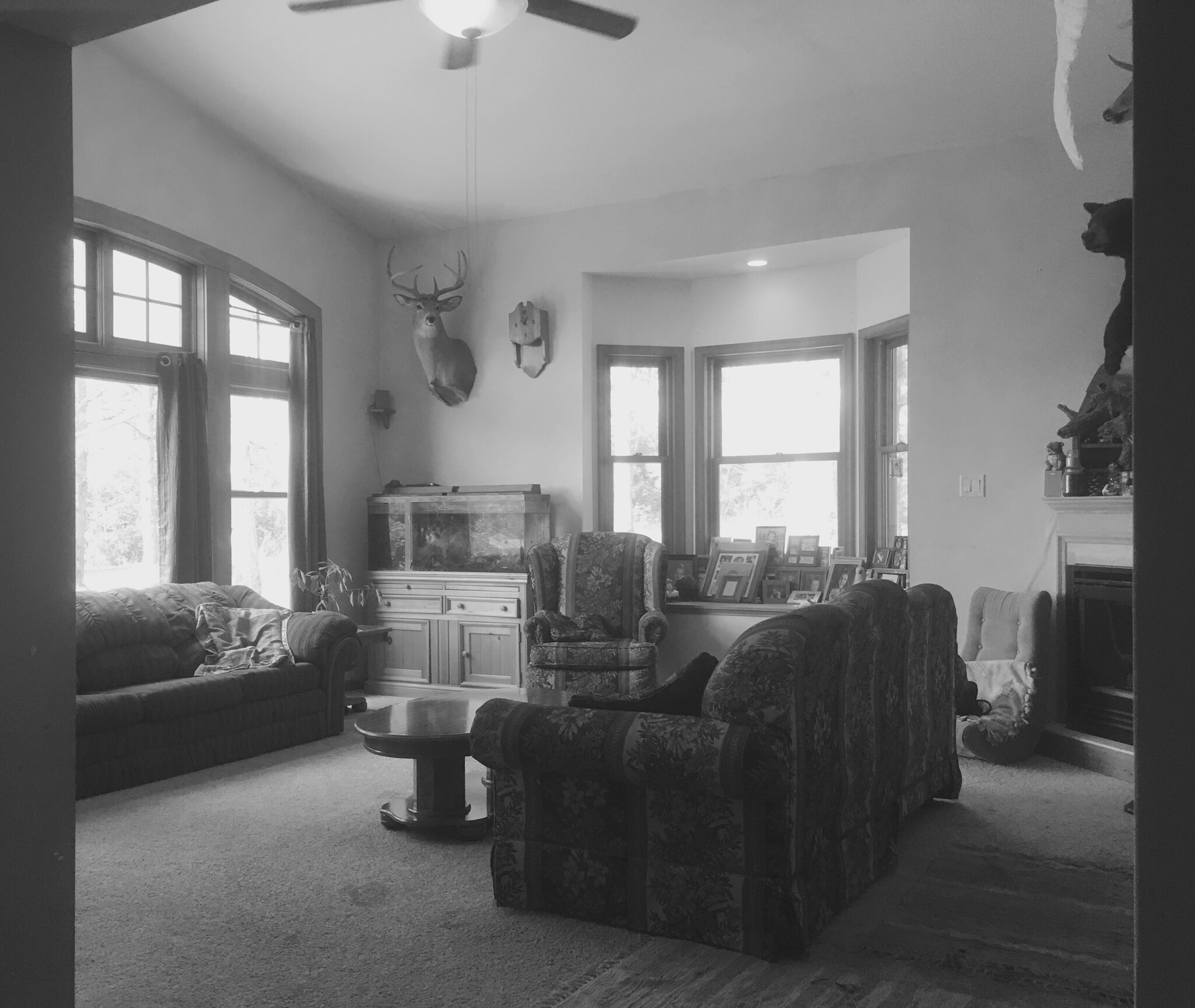 Living Room- vaulted ceilings. Planning on installing hard wood - 1163 120th Street