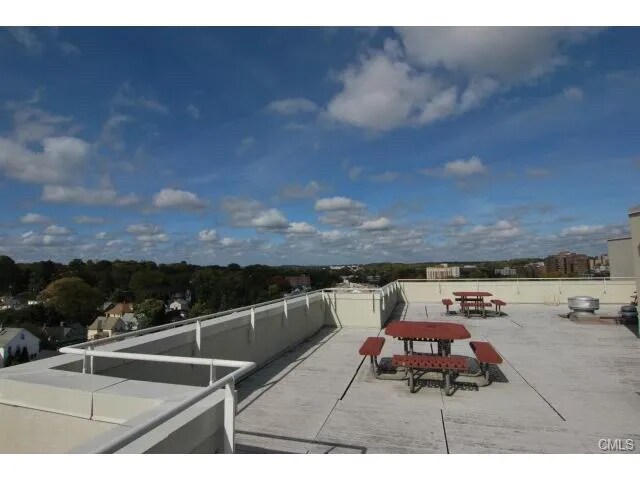Roof deck - 51 Schuyler Ave